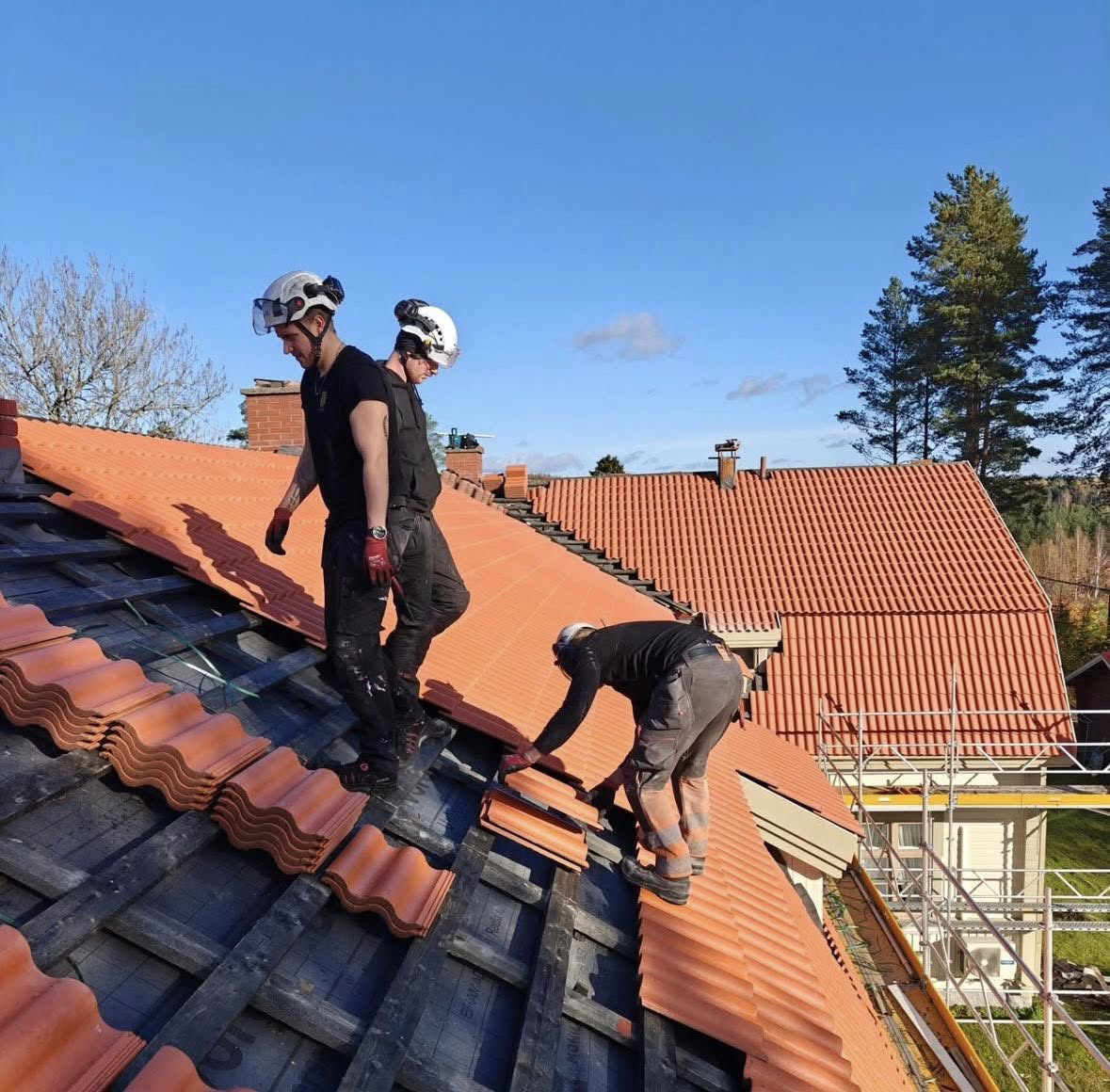 Uusi punainen peltikate